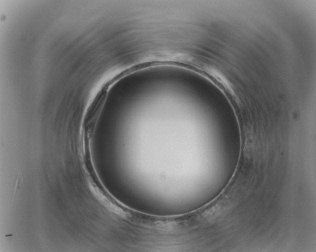 X0000063501080200601231431