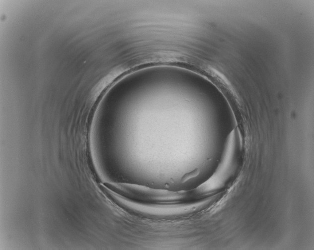 X0000063501081200601231431