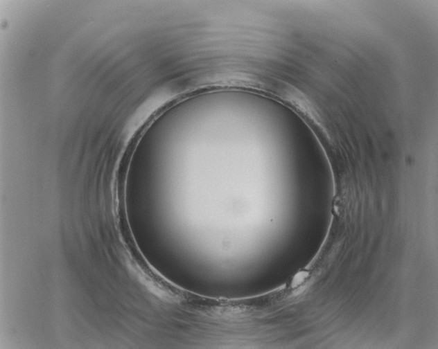 X0000063501082200601231431