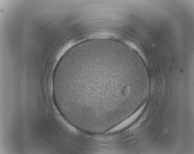 X0000063501083200601231431