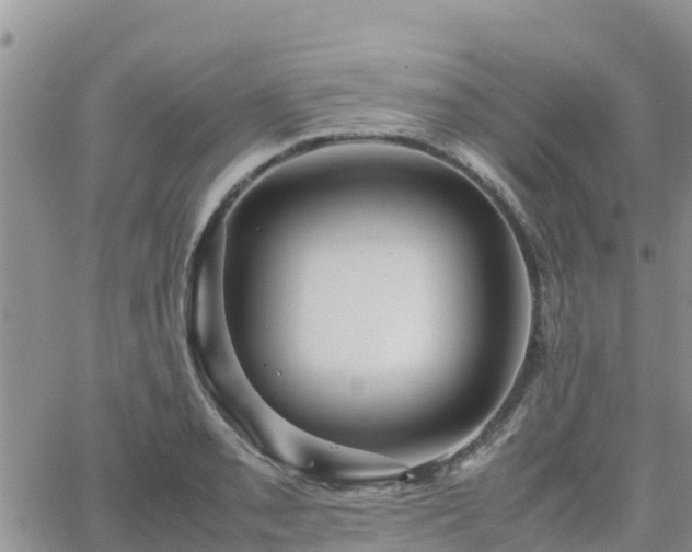 X0000063501085200601231431