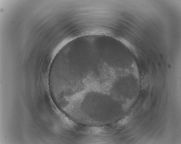 X0000063501086200601231431