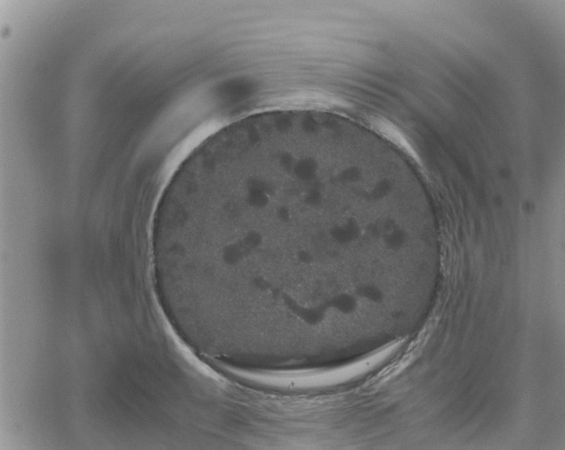 X0000063501087200601231431