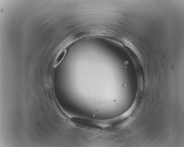 X0000063501089200601231431