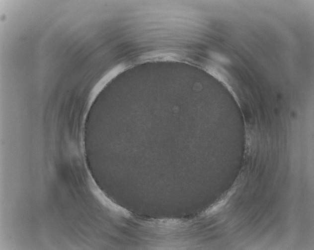 X0000063501090200601231431