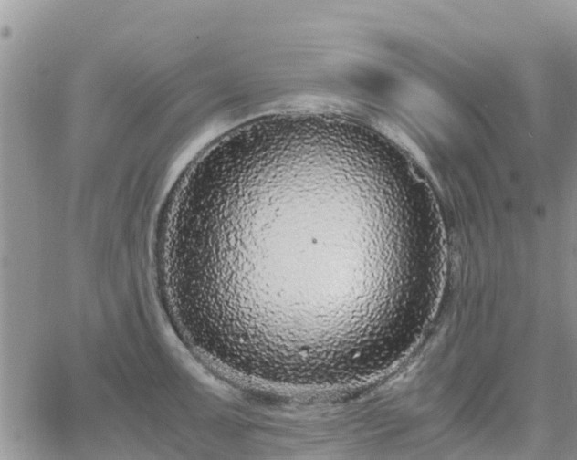 X0000063501091200601231431