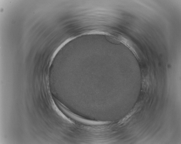 X0000063501092200601231431