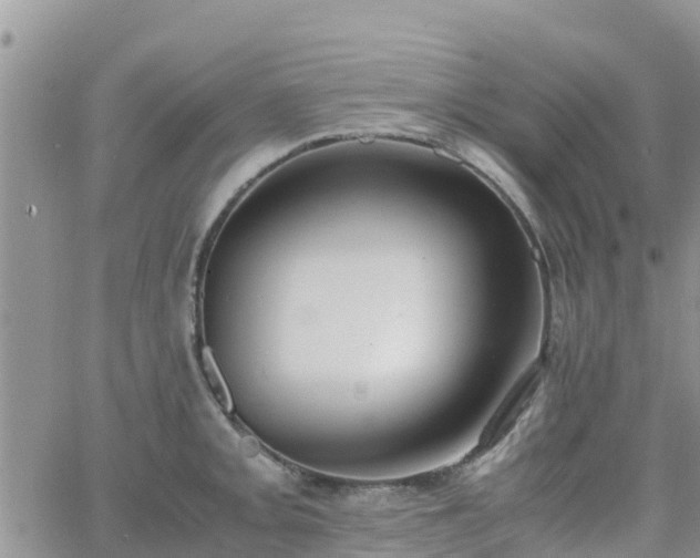 X0000063501093200601231431