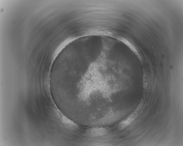 X0000063501094200601231431