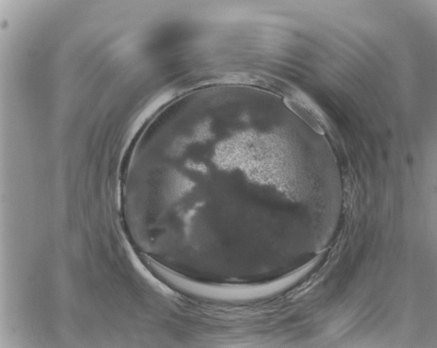 X0000063501095200601231431