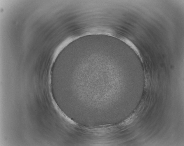 X0000063501096200601231431