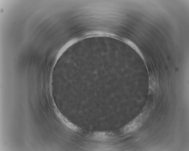 X0000063501098200601231431