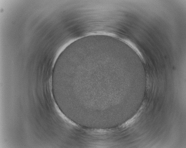 X0000063501100200601231431