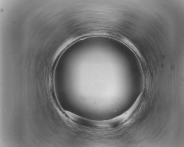 X0000063501101200601231431