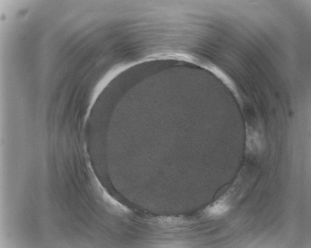 X0000063501102200601231431