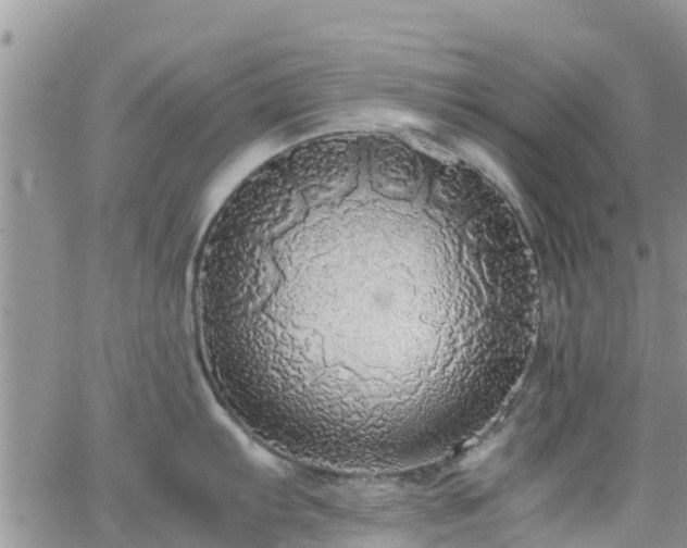 X0000063501103200601231431