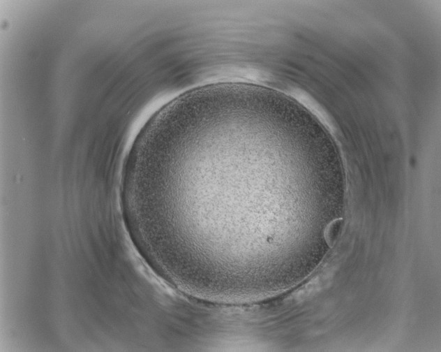 X0000063501104200601231431