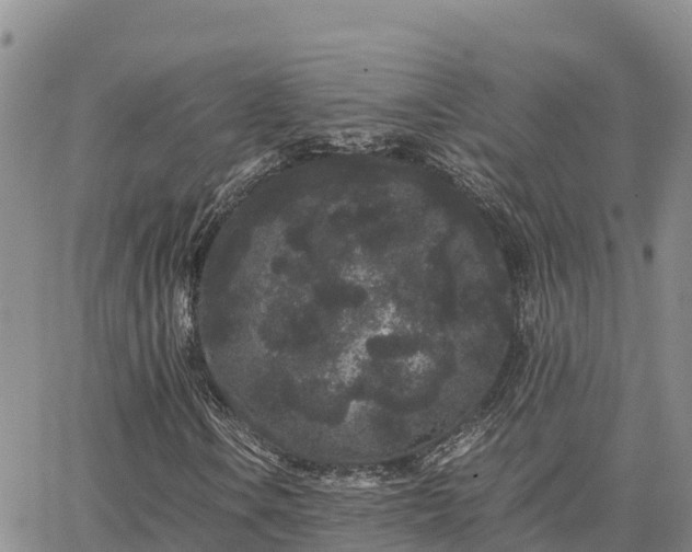 X0000063501106200601231430