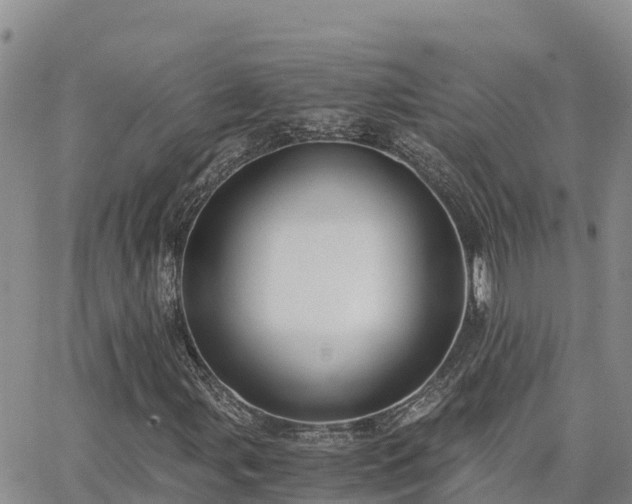 X0000063501107200601231430