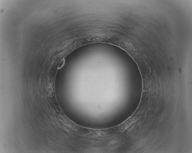 X0000063501109200601231430