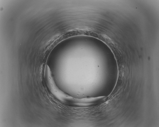 X0000063501110200601231430