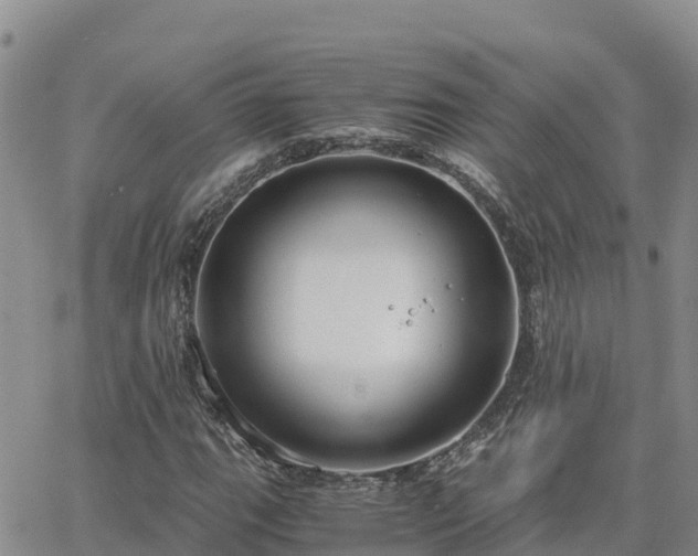 X0000063501111200601231430