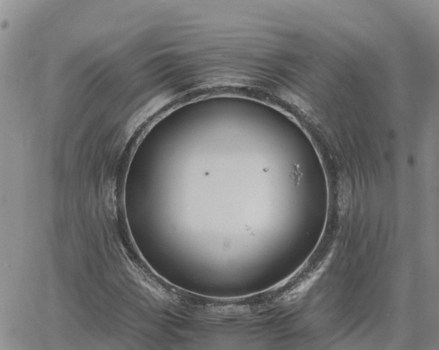 X0000063501113200601231430