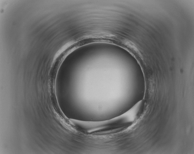 X0000063501114200601231430