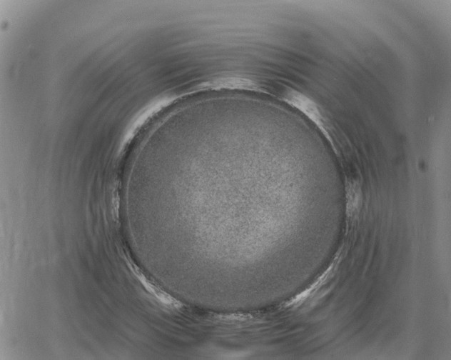 X0000063501115200601231430