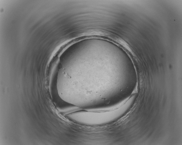 X0000063501116200601231430