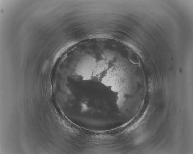 X0000063501117200601231430