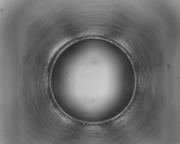 X0000063501119200601231430