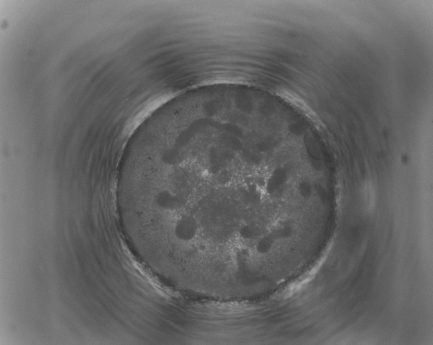 X0000063501121200601231430