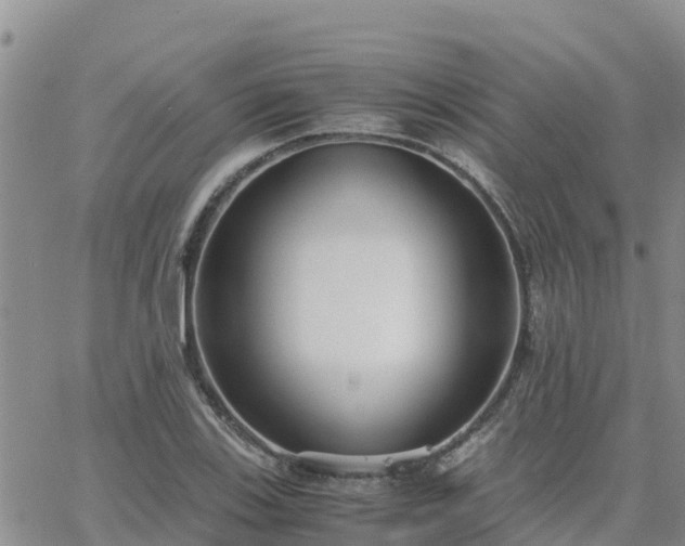 X0000063501123200601231430