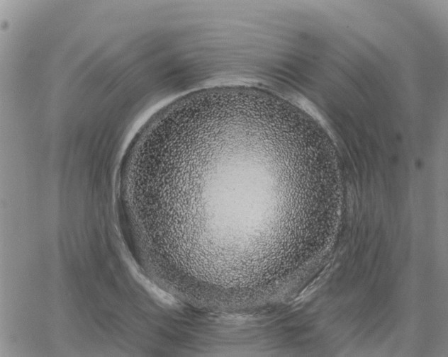 X0000063501124200601231430