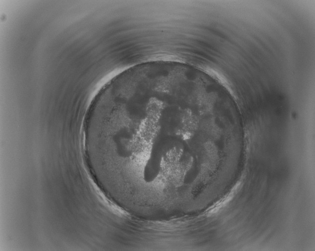 X0000063501125200601231430