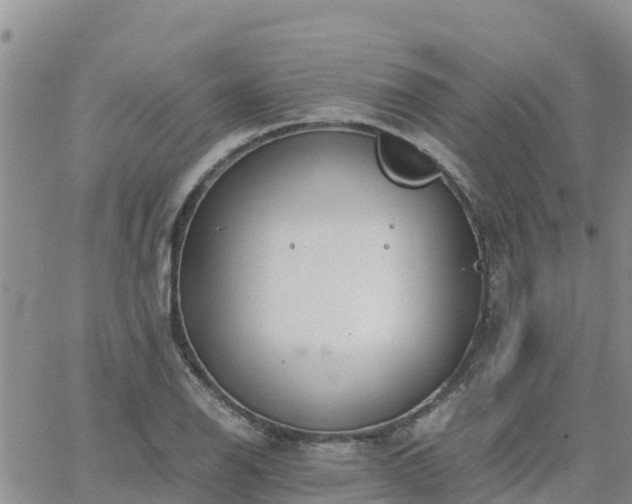 X0000063501126200601231430