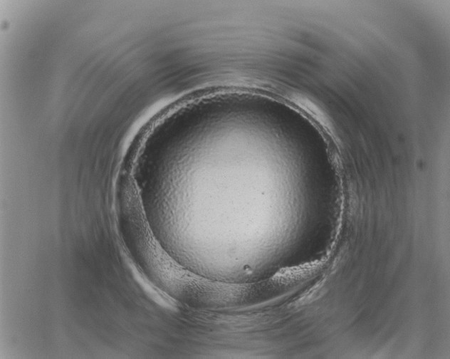 X0000063501128200601231430