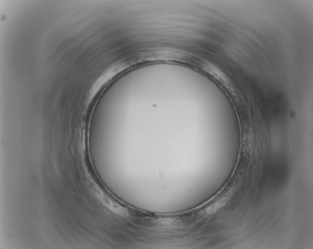 X0000063501130200601231430