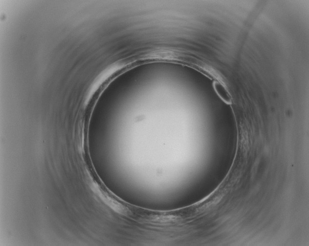 X0000063501131200601231430