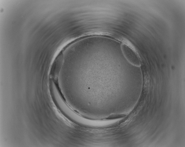 X0000063501132200601231430