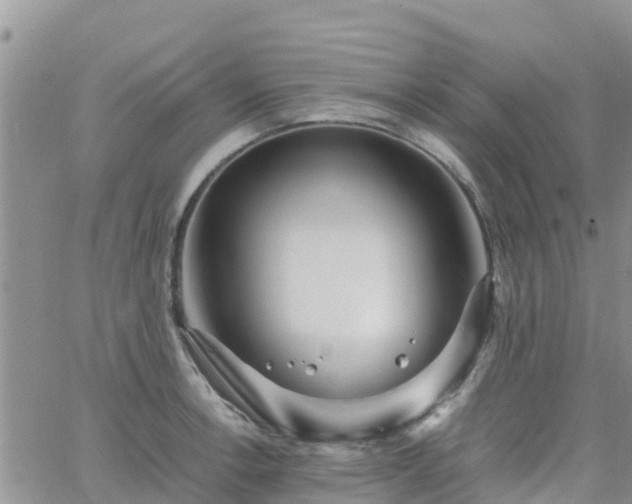 X0000063501138200601231430