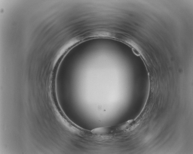 X0000063501139200601231430