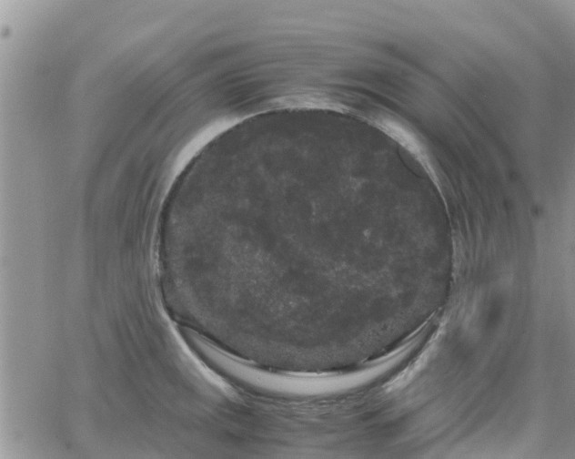 X0000063501141200601231430