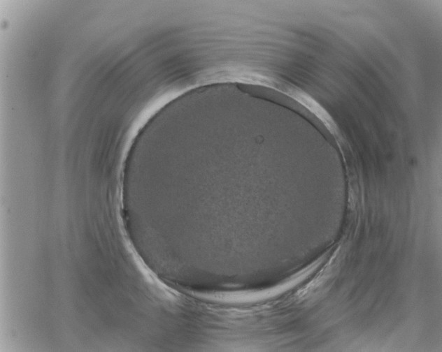 X0000063501144200601231431