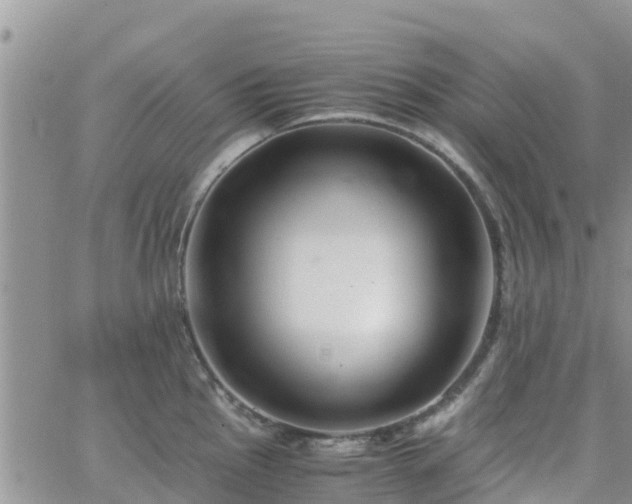 X0000063501145200601231431