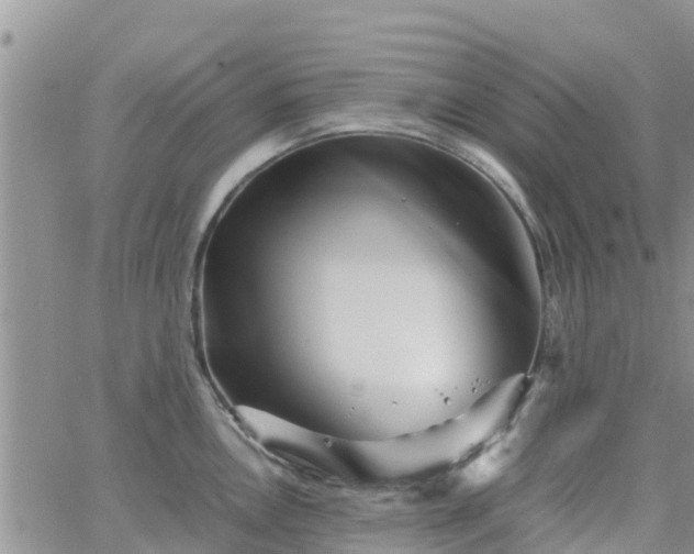 X0000063501146200601231431