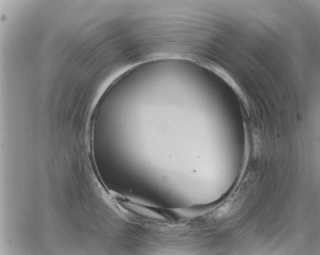 X0000063501148200601231431