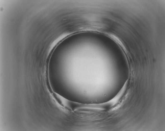 X0000063501149200601231431