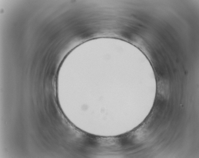 X0000063501150200601231431